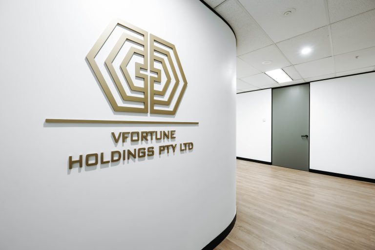 VFORTUNE HOLDINGS